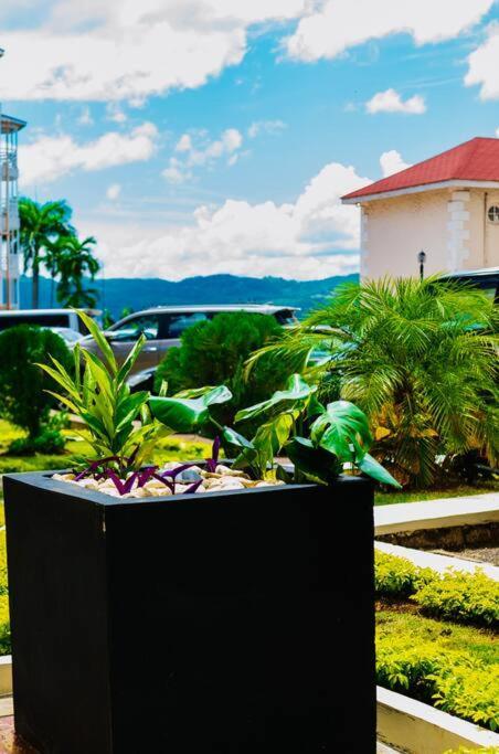 Falcon Islandview - Airport Pickup Available - 24Security Montego Bay Zewnętrze zdjęcie